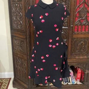 Kate Spade black floral Peter Pan collar vintage inspired dress 6 M